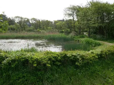 a pond in a field with grass and trees at Holiday Home in Bergen near North Sea Beach in Bergen aan Zee