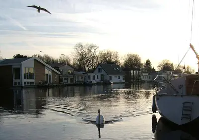 a bird is standing in the water next to a boat at watervilla-albertje in Amsterdam