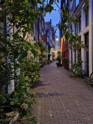an empty street in a city at night at Here's Lucy in Amsterdam