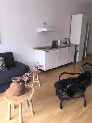 a living room with a black cat laying on a chair at appartementen zeespiegel in Zandvoort
