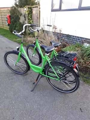 two green bikes parked next to each other at kitty