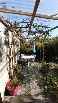 a pergola with a table and a picnic table at kitty