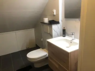 a bathroom with a white toilet and a sink at B&B Marialin in Wijdewormer