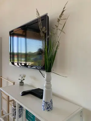 a vase of flowers on a table with a tv at Waterfront Studio in Amsterdam