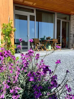 a garden with purple flowers in front of a house at Waterfront Studio in Amsterdam