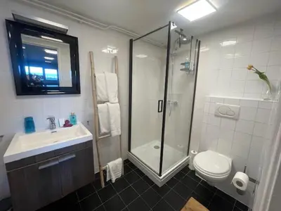 a bathroom with a shower and a sink and a toilet at B&B Zeespiegel in Zandvoort