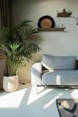 a living room with a couch and a plant at Poort Beach Boutique Apartments in Bloemendaal Aan Zee