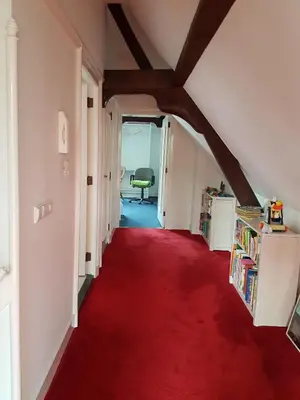 a hallway with a red carpet and a green chair at Large Historical Apartment & Canal Terrace in Utrecht