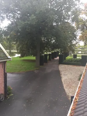 a walkway with a tree in a park at Appartementen Rijnhoeve in Koudekerk aan den Rijn