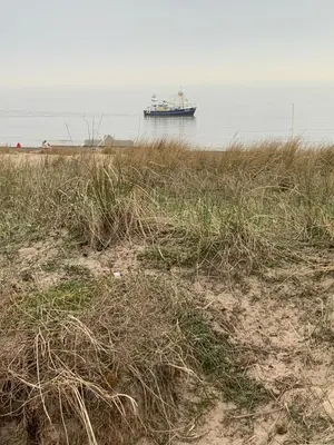 a boat in the water near a beach with grass at Appartement Brouwer in Egmond aan Zee