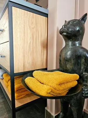 a statue of a cat with a plate on a shelf at Zandvoort at Home I Free parking & Airco in Zandvoort