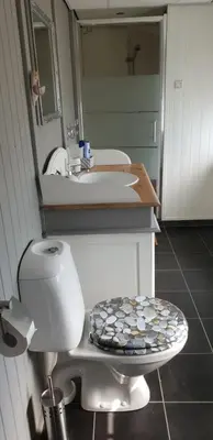 a bathroom with a sink and a toilet and a mirror at B&B Beemsterlust in Westbeemster