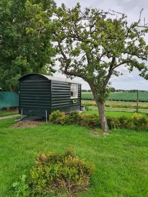 a black tiny house in a field with a tree at B&B Beemsterlust in Westbeemster