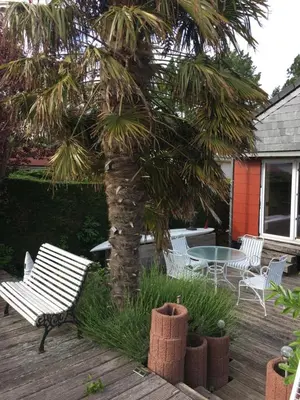 a patio with a palm tree and chairs and a table at Einzigartiges Haus am Isselmeer in Wervershoof