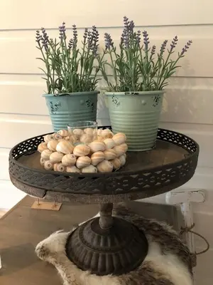 two potted plants on a table with eggs and flowers at De Kneet in Egmond aan Zee