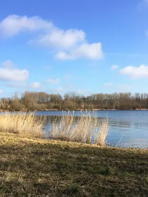 a view of a lake with tall grass in the foreground at Haarlem 49 in Haarlem