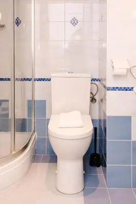 a bathroom with a toilet and a shower at De Steltloper in Zandvoort