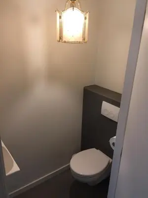 a bathroom with a toilet and a light on the wall at Het Hart in Bergen