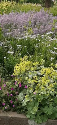 a garden filled with lots of different colored flowers at Mi BnB Amsterdam in Amsterdam