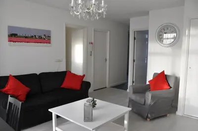 a living room with a black couch and red pillows at Schelvis Apartments in Zandvoort