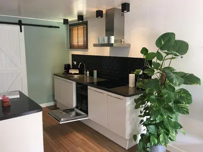 a kitchen with white cabinets and a potted plant at Annadora Beach House - Private Parking in Zandvoort