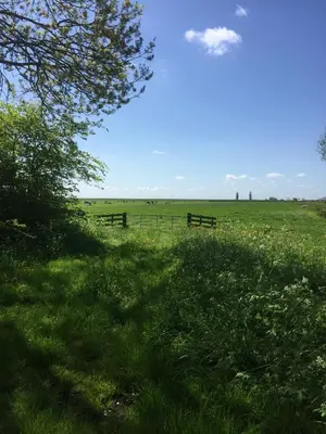 a field with two benches in the grass at Lekerweg 32 in Wijdenes