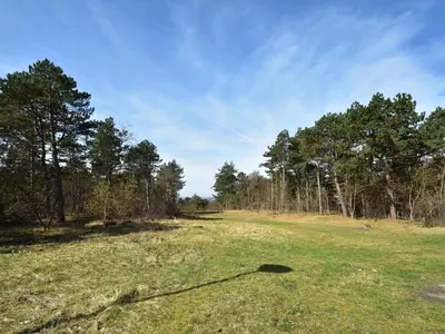 a field with a kite flying in the sky at Holiday Home Bergen near Beach & Dunes in Bergen aan Zee