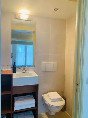 a bathroom with a toilet and a sink and a mirror at Amsterdam Central Guest House in Amsterdam