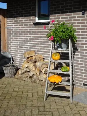 a ladder with pumpkins and a plant next to a building at Molenzicht in Sint Maarten