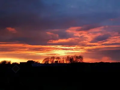 a sunset over a field with trees in the foreground at Duinnachtegaal in Egmond aan Zee