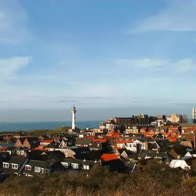 Duinnachtegaal