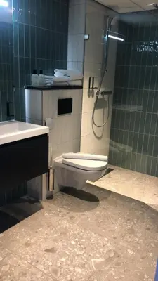 a bathroom with a shower and a toilet and a sink at Boutique Hotel Zaan in Zaandijk