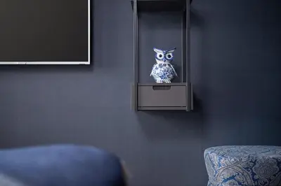 an owl is sitting on a mirror in a room at Van der Valk Hotel Amsterdam - Amstel in Amsterdam