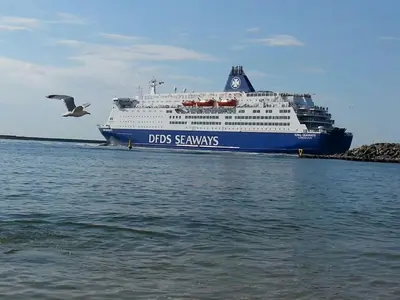 a large cruise ship in the water with a bird at Chalet Dalile IJmuiden aan Zee vlakbij het strand in IJmuiden
