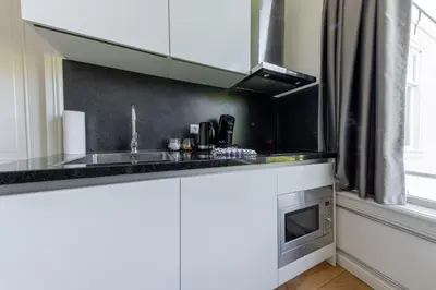 a kitchen with a sink and a stove at Plantage Hortus Apartments in Amsterdam