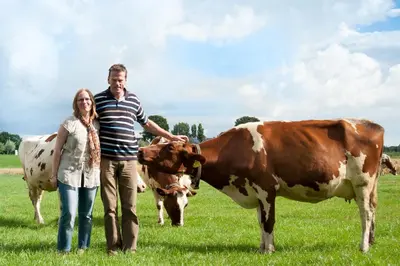 a man and woman standing in a field with a cow at Sint Nicolaashoeve in Nieuwveen