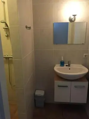 a bathroom with a sink and a mirror at Sint Nicolaashoeve in Nieuwveen
