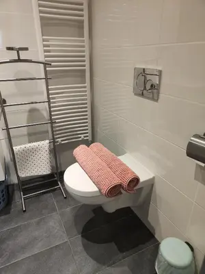 a bathroom with a toilet and a towel rack at Yuki in Zandvoort