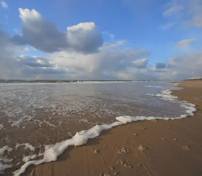 a view of the shoreline of a beach at Hotel De Boei in Egmond aan Zee