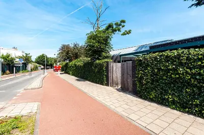 a sidewalk next to a hedge and a street at Zandvoort Lodge in Zandvoort