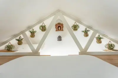 a group of potted plants on shelves in a room at CASA KAREN - Houseboat studio with private terrace in Amsterdam