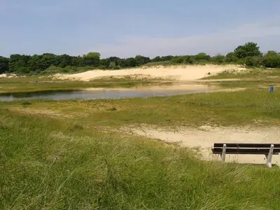 a bench sitting in the grass next to a body of water at Joy in Egmond-Binnen