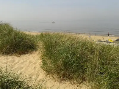 a beach with tall grass and a boat in the water at Joy in Egmond-Binnen