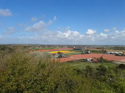 a view of a town with a field of flowers at Joy in Egmond-Binnen