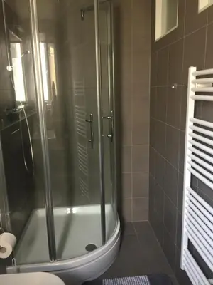 a bathroom with a shower with a sink and a toilet at Paleis Noordeinde in Grootschermer