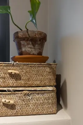 a plant in a pot sitting on top of suitcases at De oude slaght- luxe suite met buitensauna in Zaandam