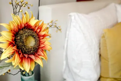 a sunflower in a vase next to a bed at Sunflower Amsterdam in Amsterdam