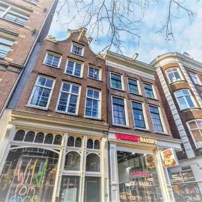 Sunflower Amsterdam