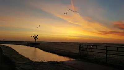 a flock of birds flying over a windmill at sunset at Noord-Hollands Hof Dream in Spijkerboor