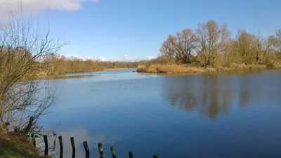 a view of a large lake with trees in the distance at Huis van Steen in Lelystad